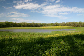 Deerpath Farm